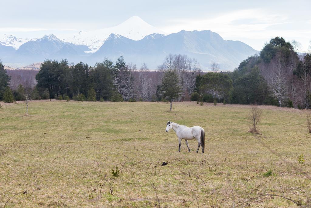Casa De Campo Buenavista Pucon Ngoại thất bức ảnh