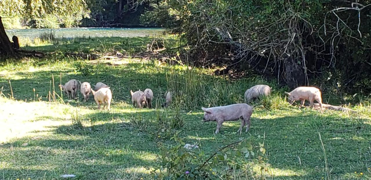 Casa De Campo Buenavista Pucon Ngoại thất bức ảnh
